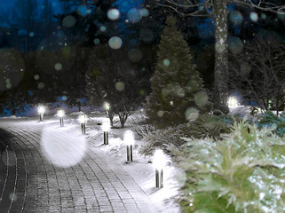 Winter Evening in a city park with a blurred background and bokeh - 242047342