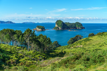 the way from cathedral cove,coromandel peninsula,new zealand 1