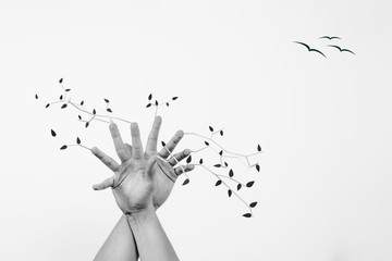 Hands with wooden sticks attached with drawn leaves in different colors. The concept of transience, season of the year, change of leaf color over time.