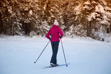 cross country skier