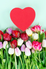 Fresh tulips flowers with heart