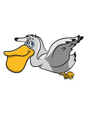 Pelikan süss lieb vogel seevogel Meer fliegen cartoon natur Tier wasser mehrfarbig