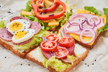 Different kind of sandwich on a white background