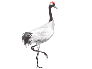 Japan traditional sumi-e painting. Fuji mountain, sakura, sunset. Japan sun. Indian ink illustration. Japanese picture.