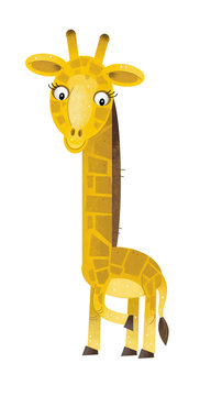 cartoon scene with giraffe on white background - illustration for children