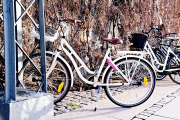 Bicycles on the street of Copenhagen