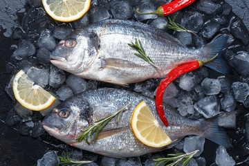 Fresh raw fish on ice. Top view.
