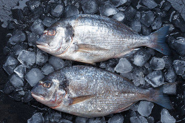 Fresh raw fish on ice. Top view.