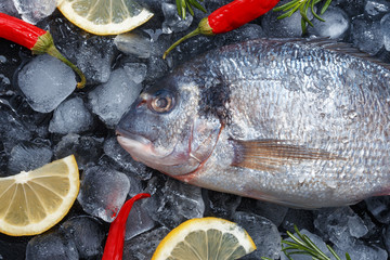 Fresh raw fish on ice. Top view.