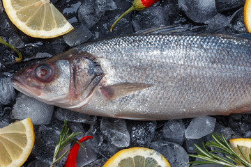 Fresh raw fish on ice. Top view.