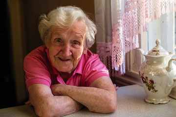 Portrait of an elderly woman in kitchen in her home.