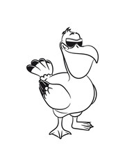 Pelikan süss lieb vogel seevogel fliegen Meer cartoon natur Wasser sonnenbrille Tier einfarbig
