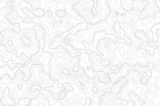 Relief topographic map of the area with high-level contour contours and geodetic grid. Abstract vectror line background.