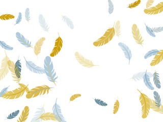 Falling feather elements soft vector design.