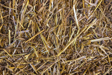 A stack of hay. Straw background. Dry grass. Livestock feed. Feed for ruminants and rabbits. Texture of hay Drying the crop. Rural theme.