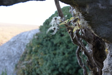 view from the cave to the valley