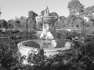 Ancient stone fountain, sprouting water from it, surrounded by greenery, outdoors. Black and white photo, taken with daylight.