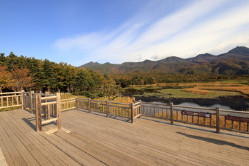 秋の知床五湖の高架木道 ( Wooden elevated boardwalk in Shiretoko five lakes in autumn )