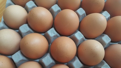 Fresh farm chicken eggs in an egg-carton or egg holder placed in market for sale