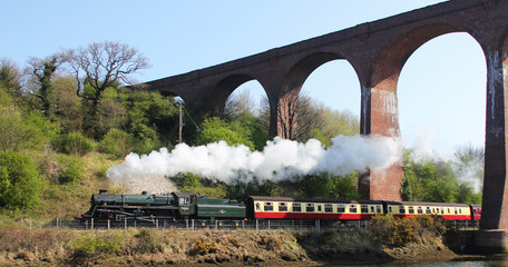Train Steaming under the arches