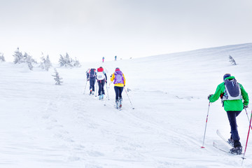 Fototapeta na wymiar Competition of skiers in snowy mountains.