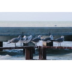 Processed with VSCO with c1 preset