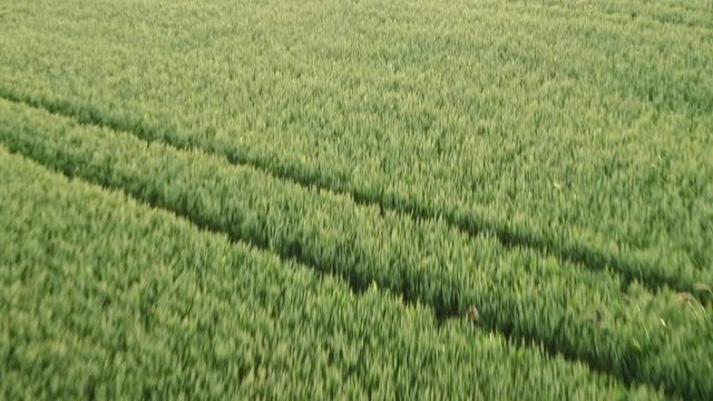 Aerial of an idyllic landscape in bavaria in the sunset with fields