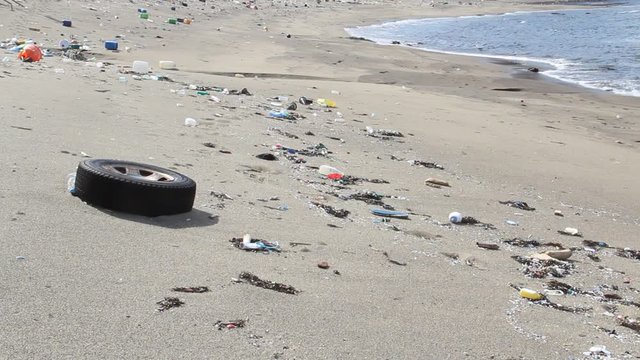 海岸のゴミ