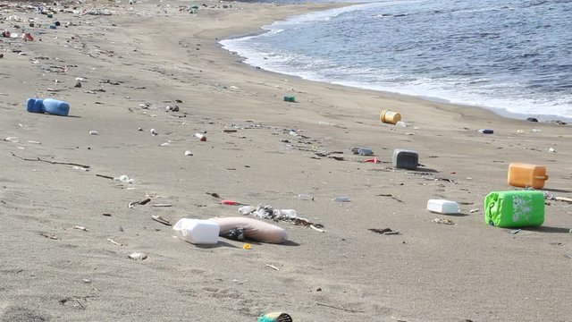 海岸のゴミ
