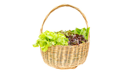 Fototapeta na wymiar Basket with fresh organic vegetables from garden farm isolated in white background.