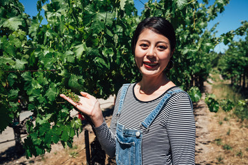 woman farmer shows a heap of white grapes