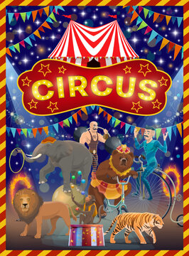 Animals, acrobat and strongman on circus arena