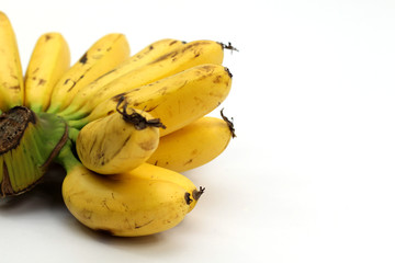 the whole bunch of yellow bananas on white background