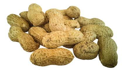 peanuts, peanut, background, white, isolated, nut, food, closeup, healthy, snack, shell, organic, seed, nutshell, open, texture, natural, brown, macro, group, nutrition, whole, ingredient, vegetarian,