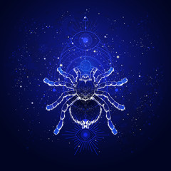 Vector illustration with hand drawn spider tarantula and Sacred geometric symbol against the starry sky. Abstract mystic sign.