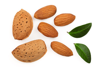 almonds with leaves isolated on white background. Flat lay pattern. Top view