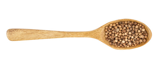 coriander seed in wooden spoon isolated on white background. Top view. Flat lay