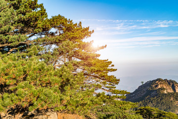 Fototapeta premium The Beautiful Natural Landscape of Huangshan Mountain in China..