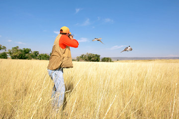 Bird Hunting