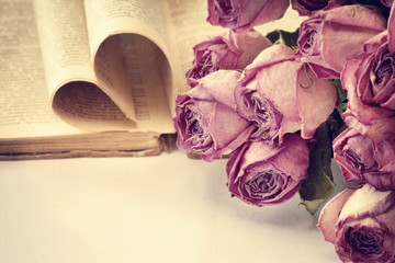 dry roses and a book