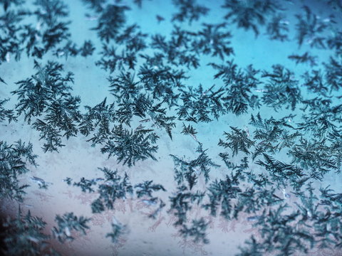 Frozen water drops looks like a pine trees on the light blue glass surface