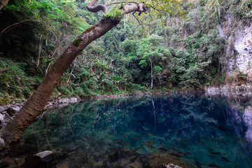 natural fountain or subterranean course of water on crater Beautiful like emerald green in lampang Thailand
