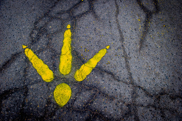 Bird footprint from Turkey Trot on pavement