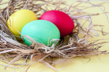 Easter multicolored eggs in a nest on a yellow background