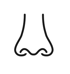 Outline icon  human senses: smell (nose). Vector symbol isolated on background