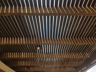 celos&iacute;a treillage