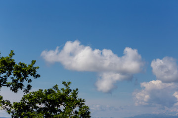 Blue sky with cloud black and white tone,background.