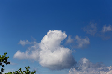 Blue sky with cloud black and white tone,background.