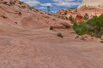 waves on red sandstone plateau in Zion National Park