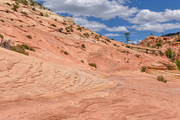waves on red sandstone plateau in Zion National Park